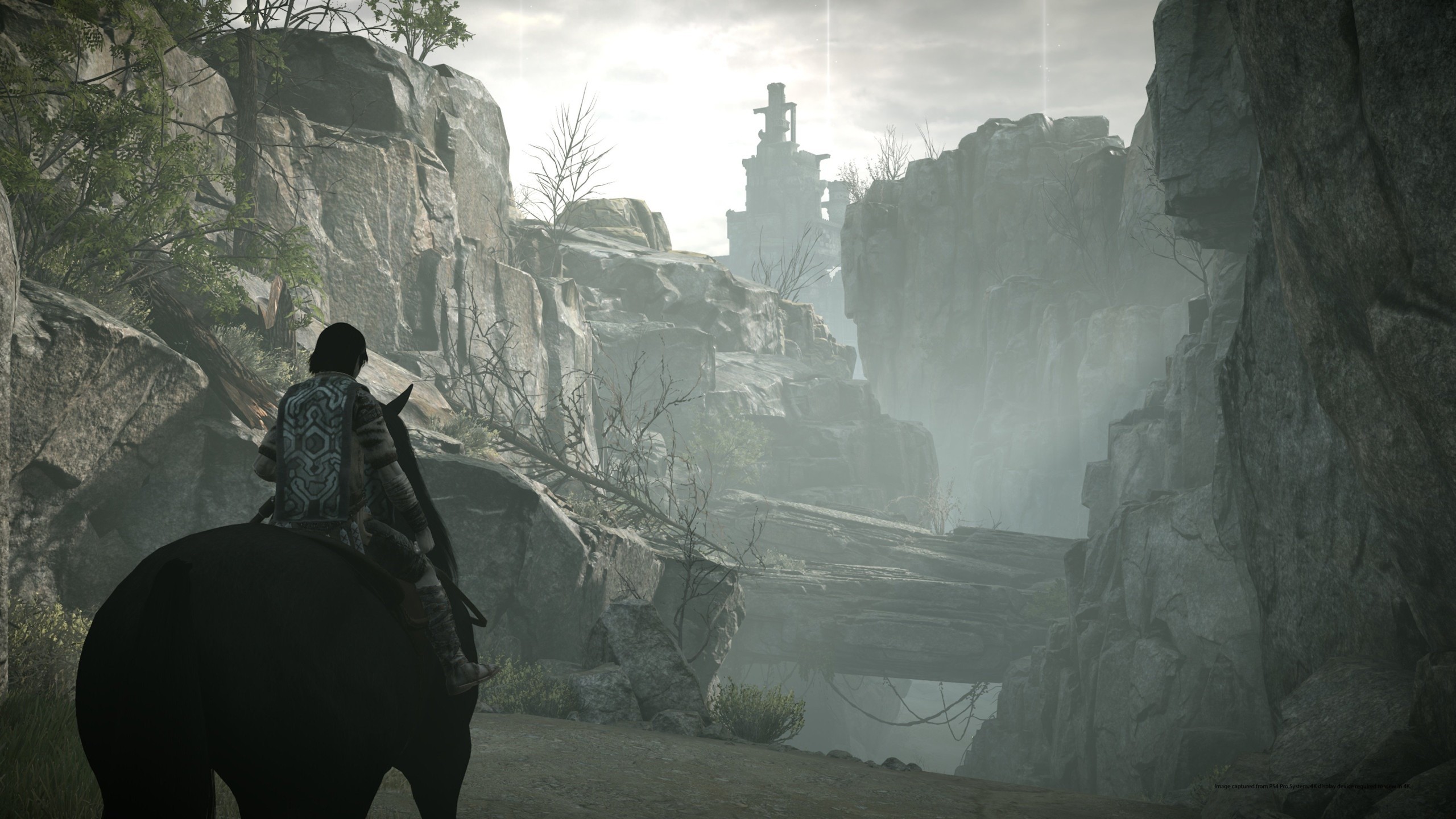 Shadow of the Colossus Remaster
